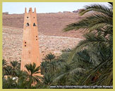 The distinctive tapered minaret of a mosque amongst the date palm in the M'Zab Valley UNESCO world heritage site, Algeria